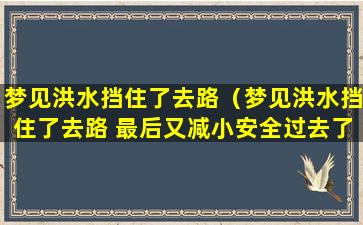 梦见洪水挡住了去路（梦见洪水挡住了去路 最后又减小安全过去了）